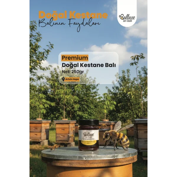 Premium Doğal Kestane Balı Net: 250 gr
