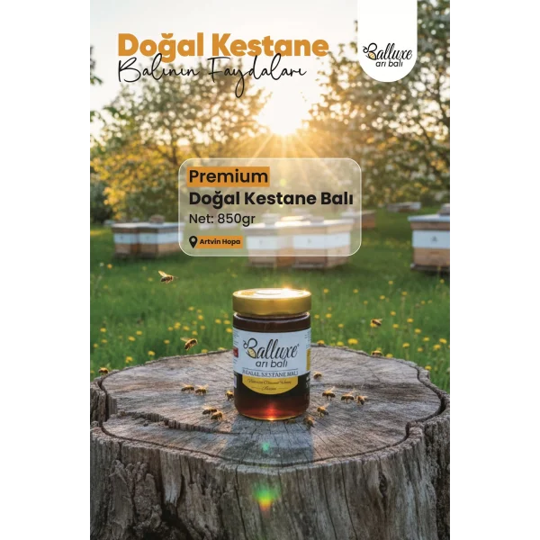 Premium Doğal Kestane Balı Net: 850 gr