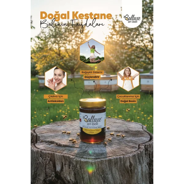 Premium Doğal Kestane Balı Net: 850 gr