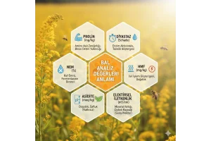 Bal analiz değerlerinin anlamı- Analiz raporunda önemli kriterler