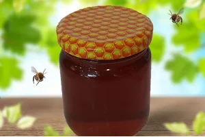 Gerçek Kestane Balı