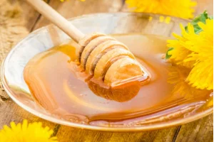 Organik Kestane Balı