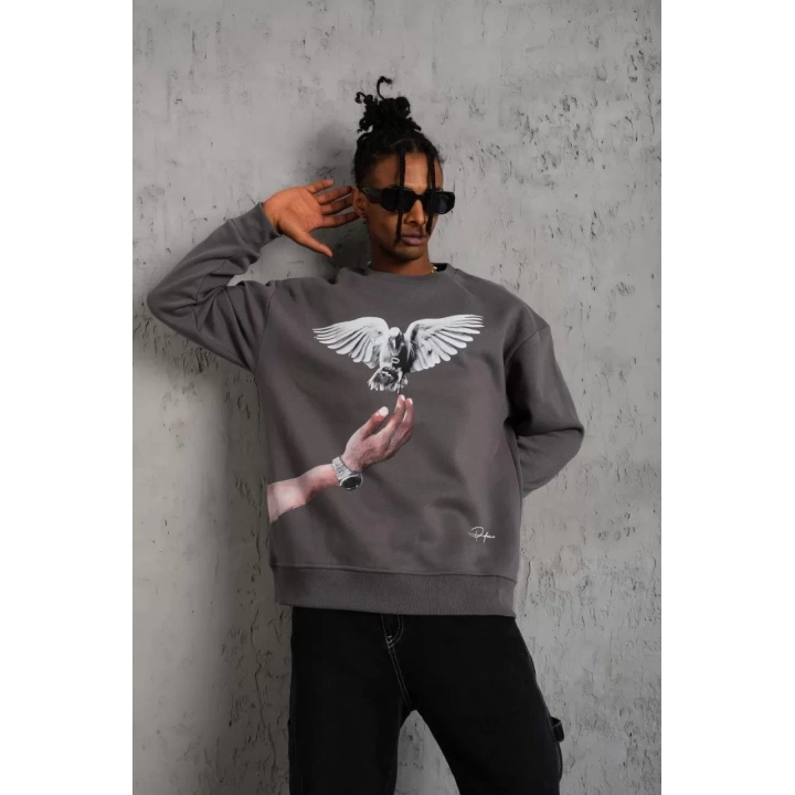 Erkek Güvercin Baskılı Sweatshirt - Gri