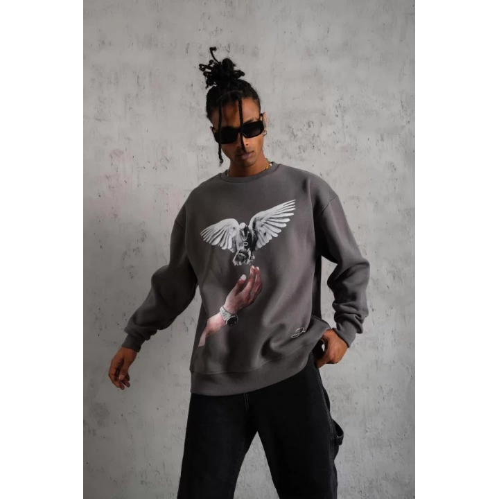 Erkek Güvercin Baskılı Sweatshirt - Gri