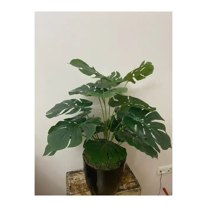 yapay devetabanı yapaybitki 65cm 18 dal