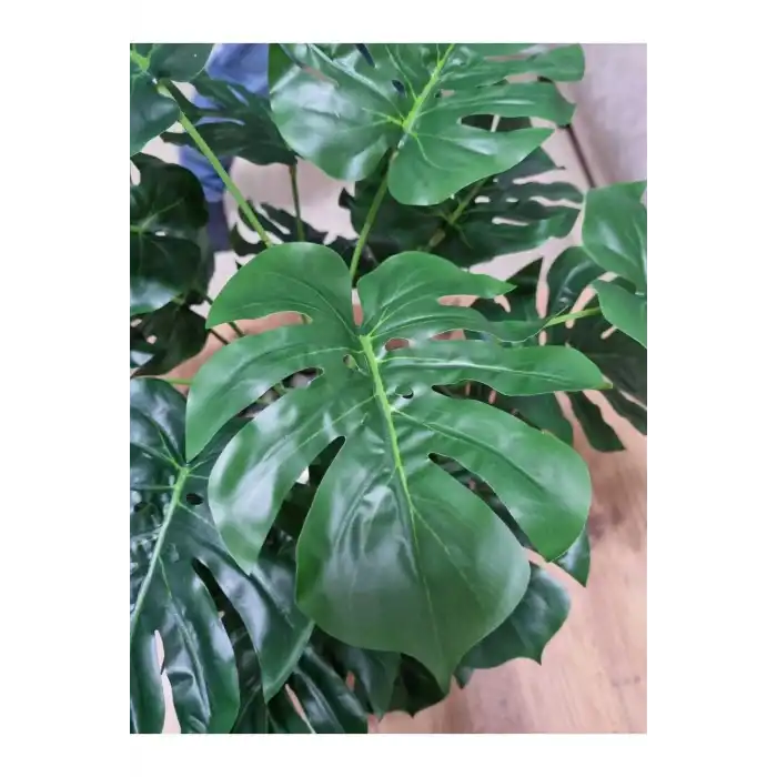 yapay devetabanı hasır saksılı bo:60cm