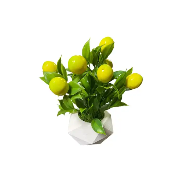 yapay limon benton saksıda 18-20 cm