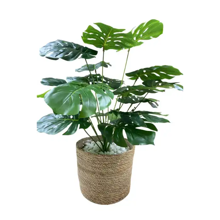 Yapay devetabanı bitkisi 60 cm