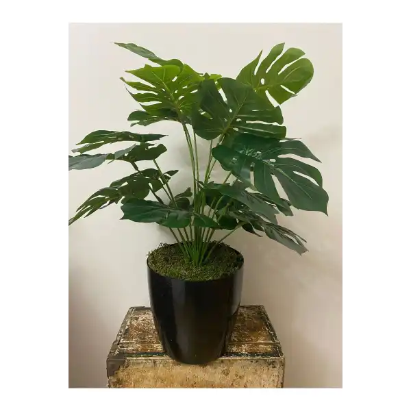 yapay devetabanı yapaybitki 65cm 18 dal