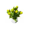 yapay limon benton saksıda 18-20 cm