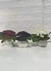 yapay menekşe 3 adet mor beyaz pembe boy 13 cm