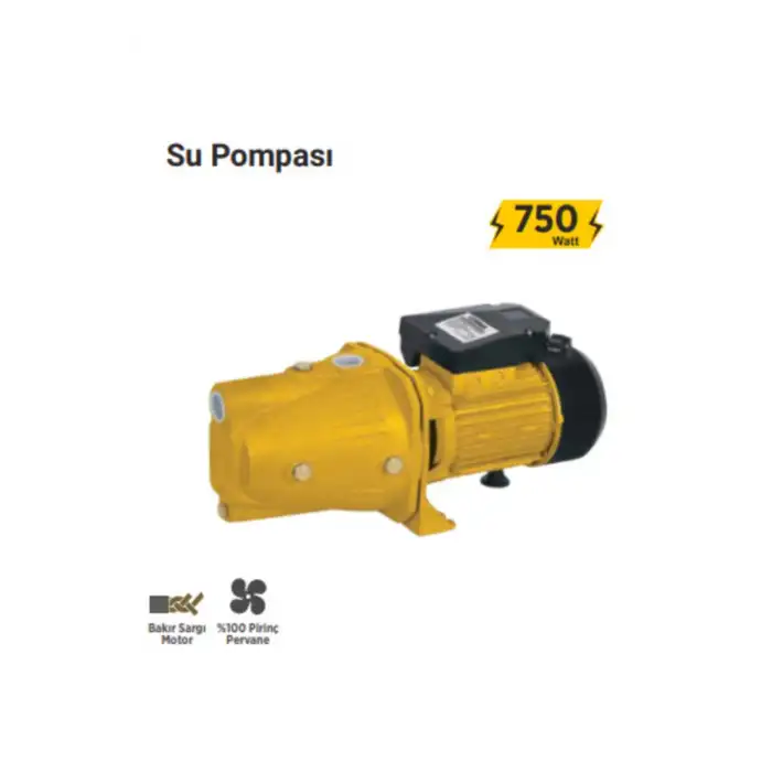 Rtrmax Rtr Max Rtm876 Su Pompası 750 Waat