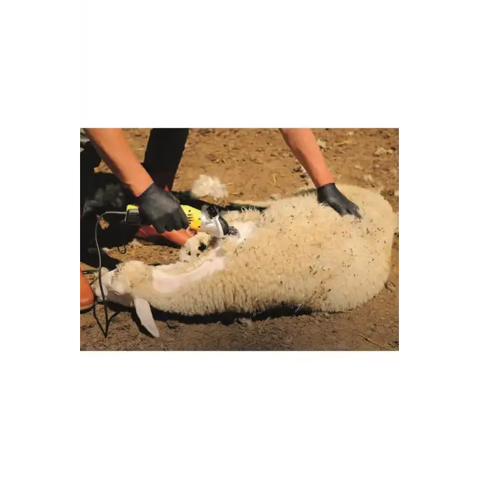 Rtrmax Rtm923 Koyun Kırkma Makinası 500w Devir Ayarlı