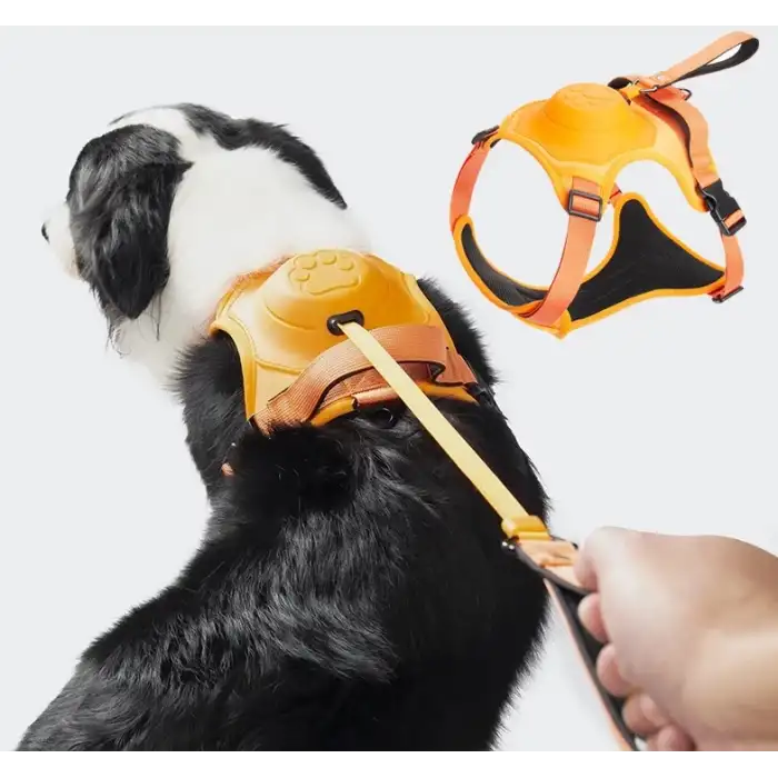 Bauwelt Köpek Tasması Gövdelik Ve Göğüslük Otomatik Toplama Rahat Ve Konforlu Yürüyüş Tasma