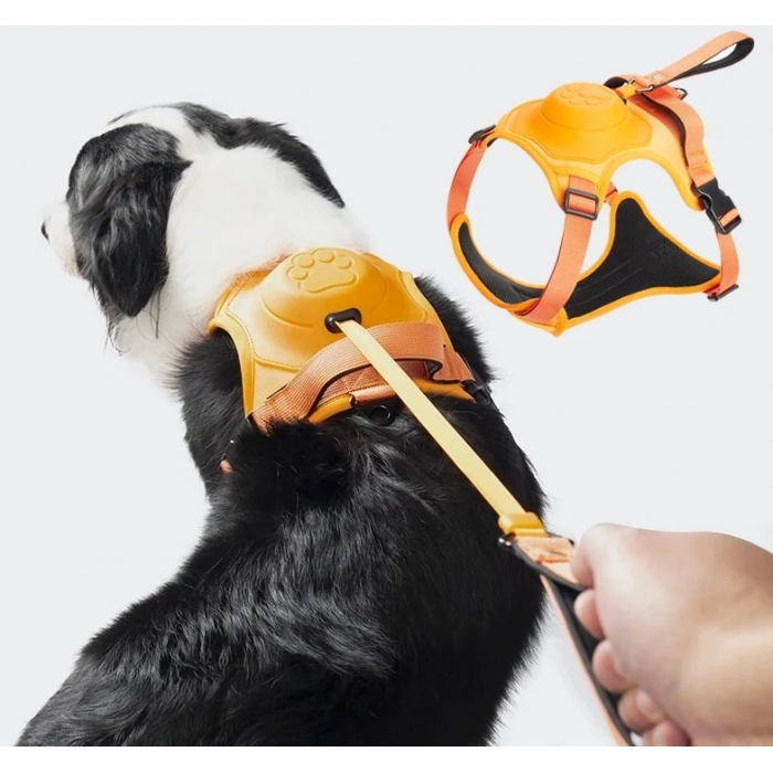 Bauwelt Köpek Tasması Gövdelik Ve Göğüslük Otomatik Toplama Rahat Ve Konforlu Yürüyüş Tasma
