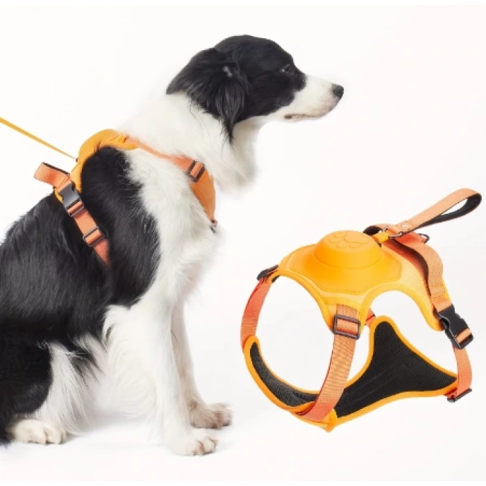 Bauwelt Köpek Tasması Gövdelik Ve Göğüslük Otomatik Toplama Rahat Ve Konforlu Yürüyüş Tasma