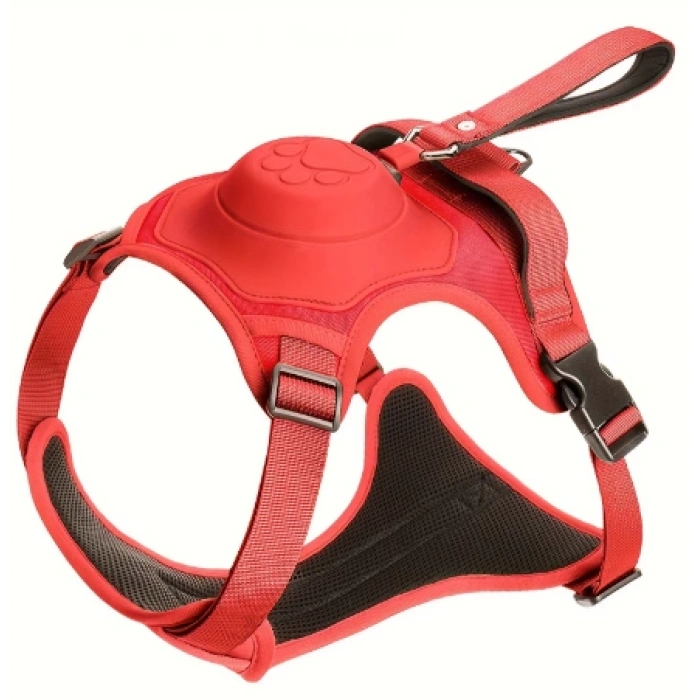 Bauwelt Köpek Tasması Gövdelik Ve Göğüslük Otomatik Toplama Rahat Ve Konforlu Yürüyüş Tasma