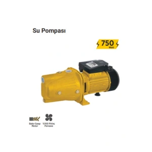 Rtrmax Rtr Max Rtm876 Su Pompası 750 Waat