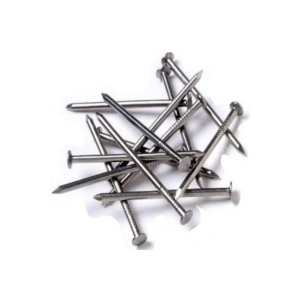 İnşaat Çivisi 1kg