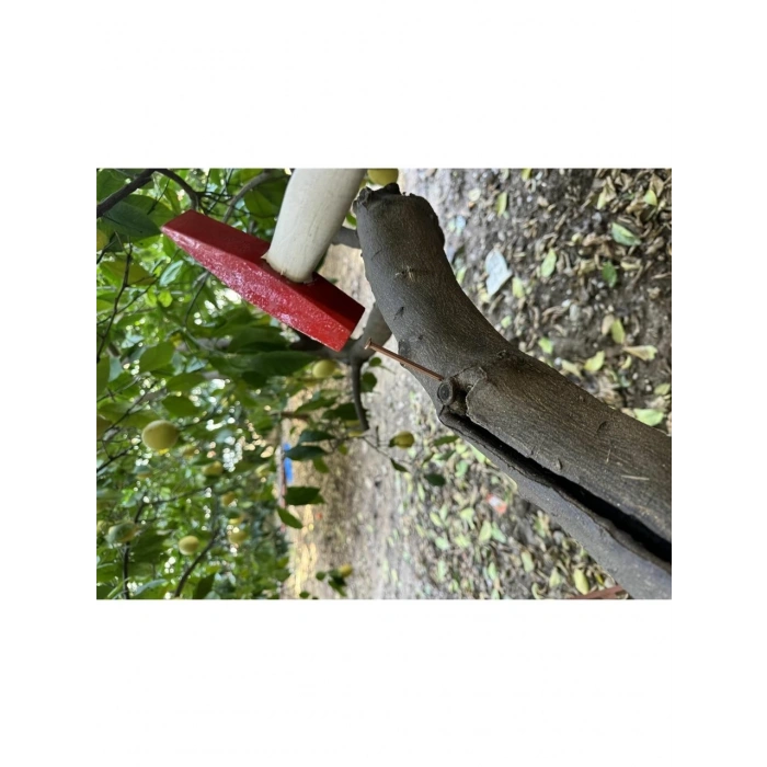 BAKIR ÇİVİ 6CM (100 ADET)