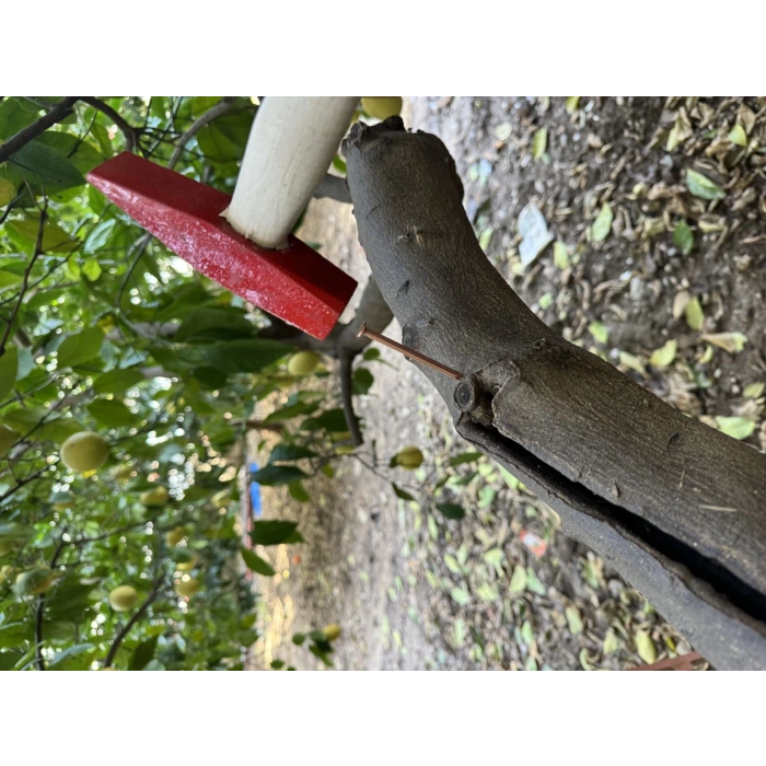 BAKIR ÇİVİ 6CM (50 ADET)