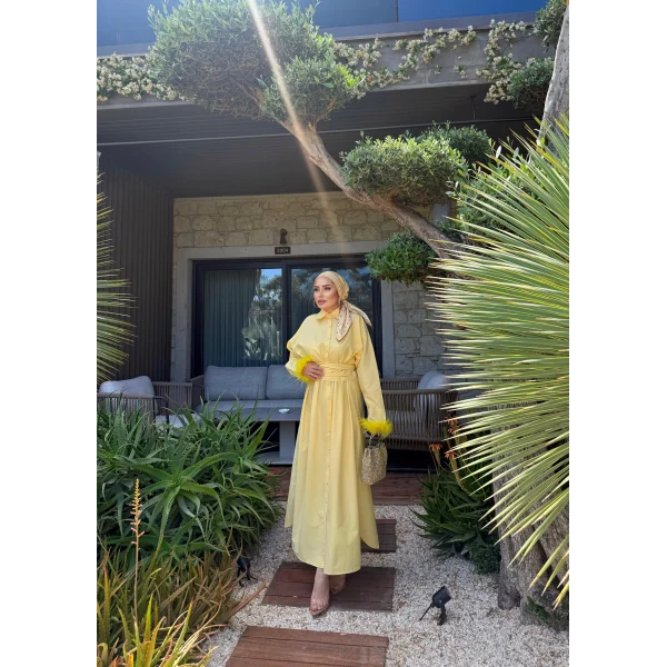 Woun Kol Detay Elbise - Sarı