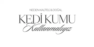 Kedi Sahipleri Neden Kaliteli ve Doğal Kedi Kumu Kullanmalıdır?