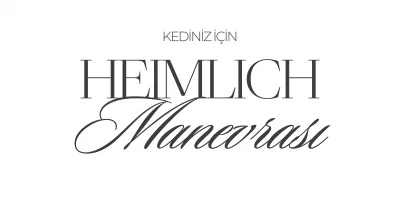 Kedinize Heimlich Manevrası Yapmayı Biliyor musunuz?