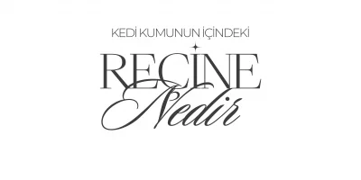 Reçine Nedir ?