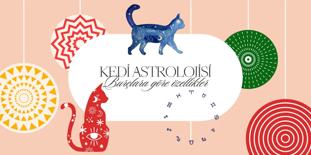 Kedi Astrolojisi