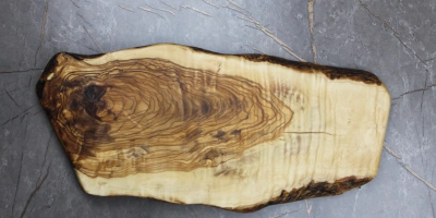 Zeytin Ağacı ve Sağlık: Doğal Antibakteriyel Yapı Bilimsel Olarak Nasıl Çalışıyor?