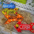 Boyanabilir Ahşap Ok 30 Cm