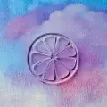 Dekoratif Limon Dilimi Şeffaf Akrilik 3mm pleksi mika