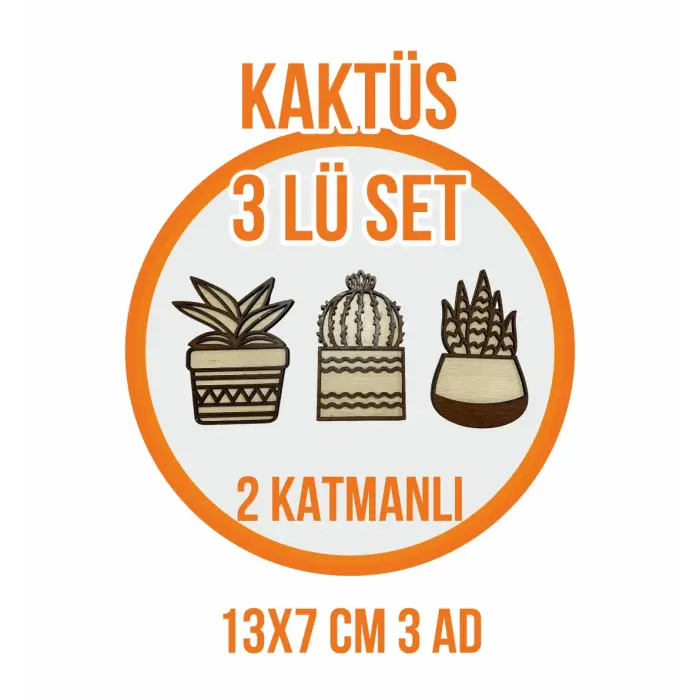 Hediyelik Dekoratif 3lü Kaktüs Ahşap Ev Dekorasyonu