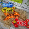 Boyanabilir Ahşap Ok 30 Cm