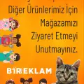 Sevimli Erkek Renkli Ahşap Boyama – Okul Öncesi DIY Etkinlik ve Sanat Aktivitesi