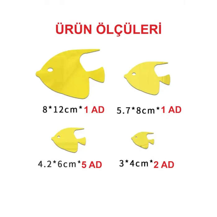 Balık Dekorlu Duvar Dekorasyonu pleksi