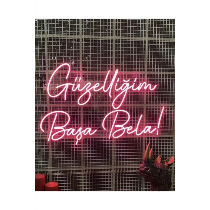 Güzelliğim Başa Bela Yazılı Neon Led