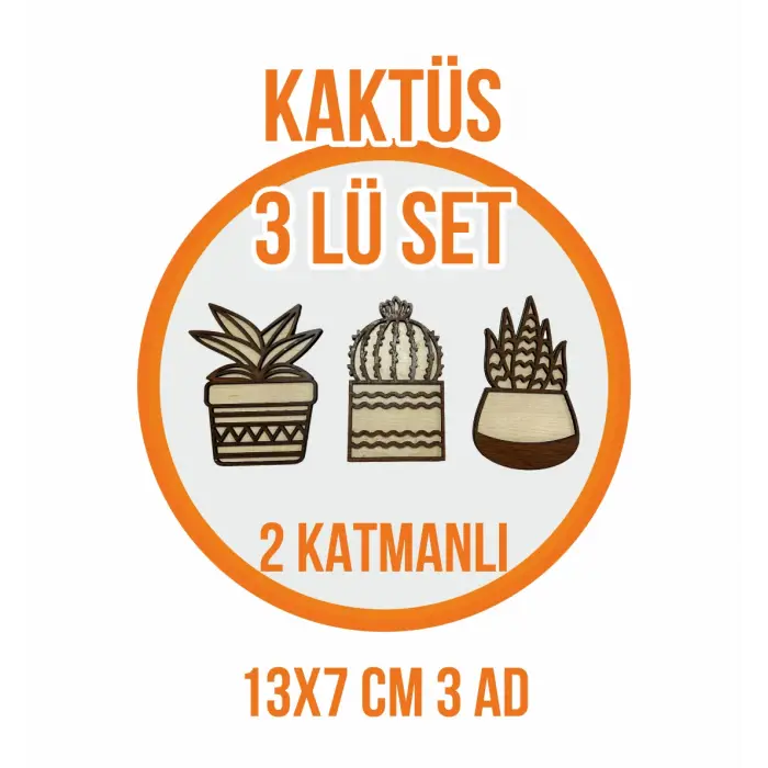 Hediyelik Dekoratif 3lü Kaktüs Ahşap Ev Dekorasyonu