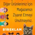 Sevimli Erkek Renkli Ahşap Boyama – Okul Öncesi DIY Etkinlik ve Sanat Aktivitesi
