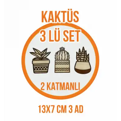 Hediyelik Dekoratif 3lü Kaktüs Ahşap Ev Dekorasyonu