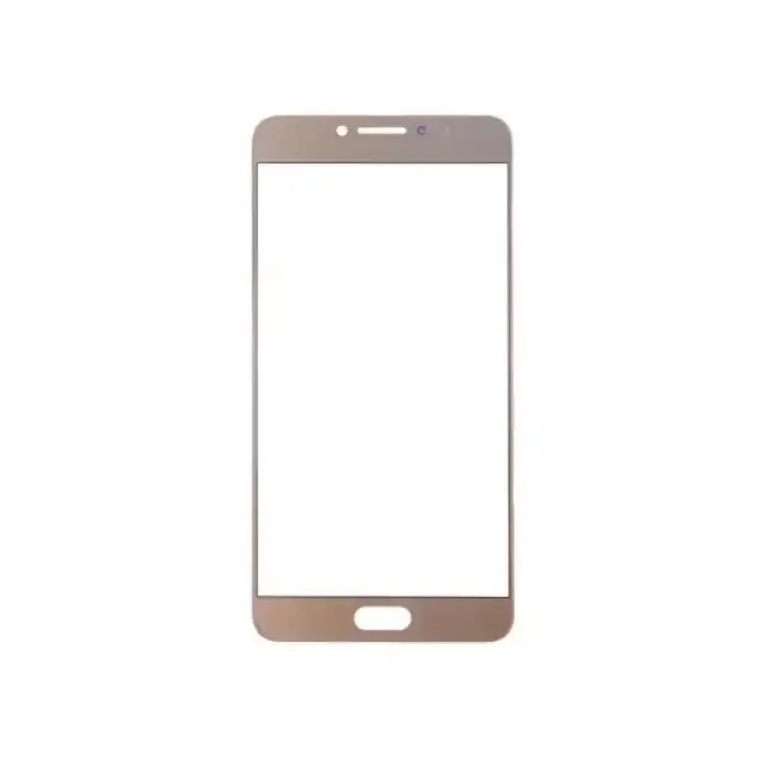 Samsung Uyumlu Galaxy C7 Pro C7010 Lens Gold