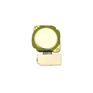 Huawei Uyumlu P20 Lite Home Parmak Okuyucu Filmi Flex Gold