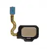 Samsung Uyumlu Galaxy S8 G950 Home Parmak Okuyucu Film Flex Gold