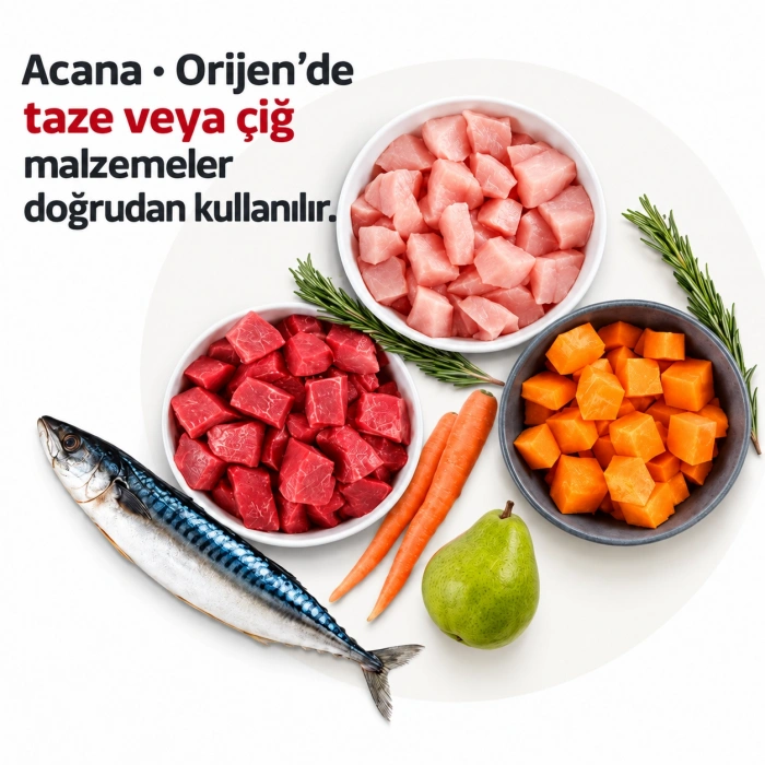 Acana Classics Wild Coast Balıklı Düşük Tahıllı Köpek Maması 9,7kg