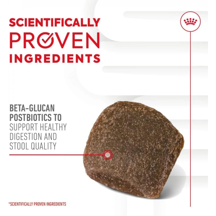 Royal Canin Sindirim Sistemi Destekli Yetişkin Köpek Ödül Maması 160gr