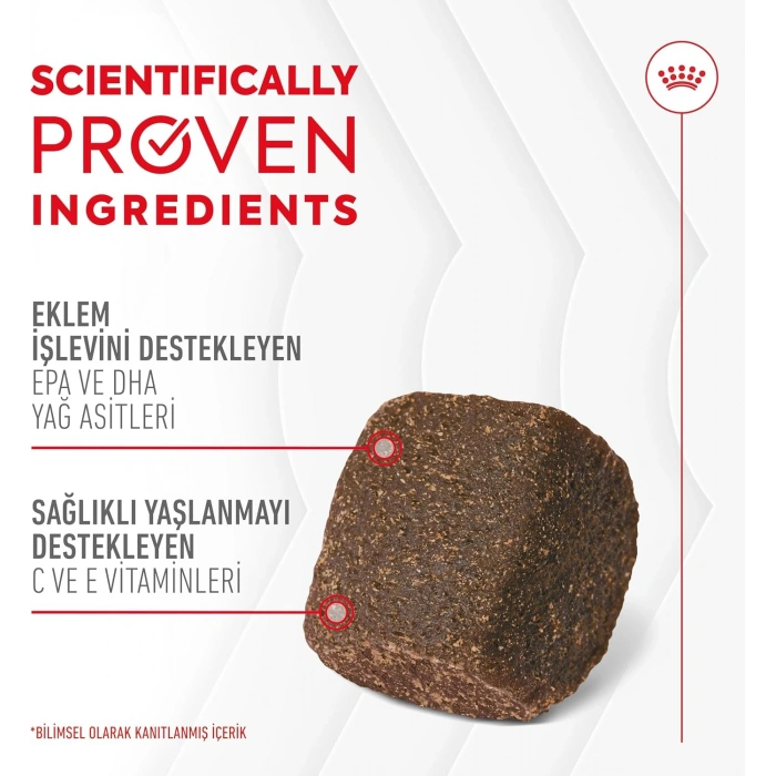 Royal Canin Eklem ve Sağlıklı Yaşlanma Destekli Yetişkin Köpek Ödül Maması 240gr