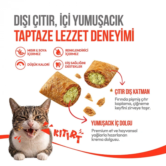Wanpy Crunchy Pockets Catnipli ve Tavuklu Kedi Ödül Maması 60gr