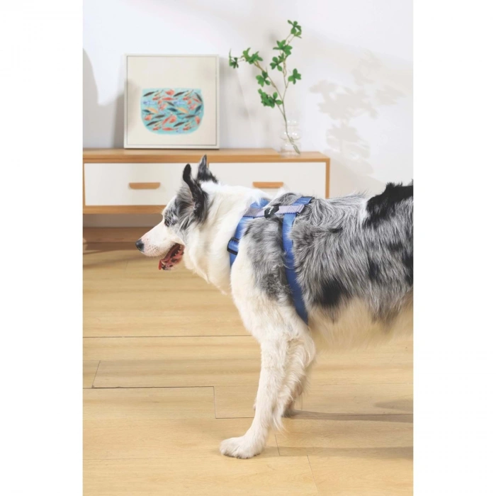 M-Pets Gentle Köpek Göğüs Tasması 25-36cm (Mavi) [XS]