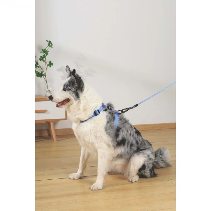 M-Pets Gentle Köpek Göğüs Tasması 36x58cm (Mavi) [M]